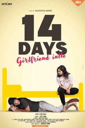 14 Days (Girlfriend Intlo) (2025) Hindi (MULTI AUDIO) – –