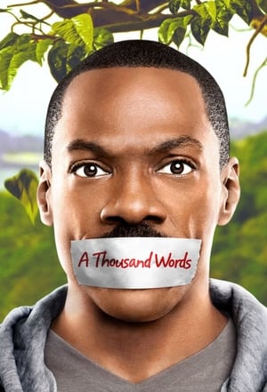 A Thousand Words (2012) Hindi Dual Audio [800MB] HD Poster Download - filmyfly