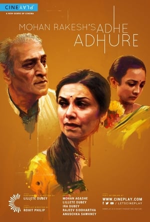 Adhe Adhure 2017 Full Movie [880MB] Download HD Poster Download - filmyfly