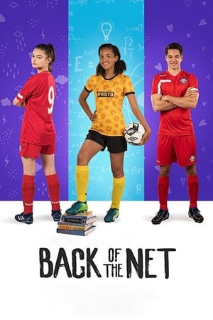 Back of the Net (2019) Hindi Dual Audio 300MB HD Poster Download - filmyfly
