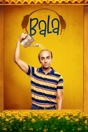 Bala 2019 Hindi Movie - [400MB] HD Poster Download - filmyfly