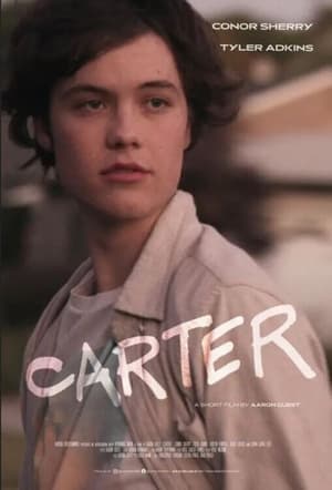 Carter (2022) Hindi Dual Audio –