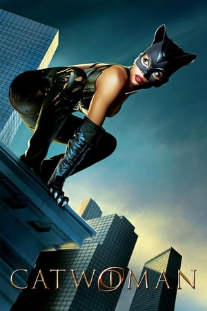 Catwoman (2004) Hindi Dual Audio [930MB] HD Poster Download - filmyfly
