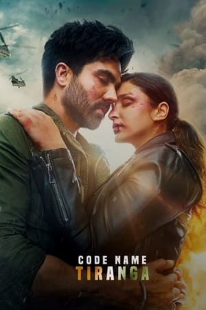 Code Name: Tiranga 2022 Hindi Movie – HD Poster Download - filmyfly