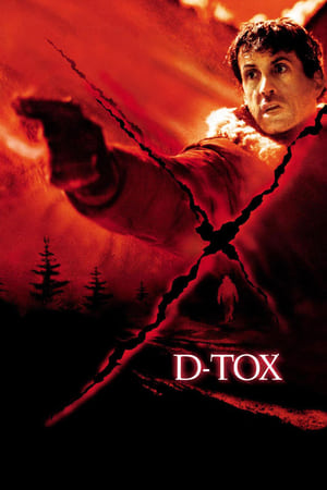 D-Tox Eye See You 2002 Hindi Dual Audio 300MB HD Poster Download - filmyfly