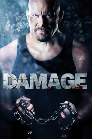 Damage 2009 Hindi Dual Audio [970MB] HD Poster Download - filmyfly