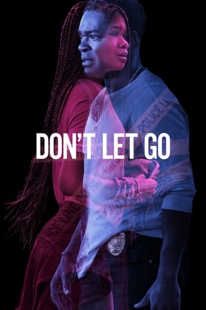 Don’t Let Go (2019) Hindi Dual Audio 350MB HD Poster Download - filmyfly
