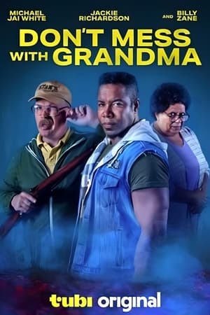 Don't Mess with Grandma (2024) Hindi (MULTI AUDIO) HD Poster Download - filmyfly