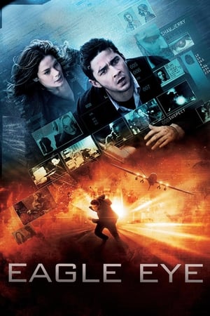 Eagle Eye (2008) Hindi Dual Audio 330MB ESubs HD Poster Download - filmyfly