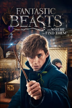 Fantastic Beasts and Where to Find Them 2016 Dual Audio (Hindi) [300MB] HD Poster Download - filmyfly