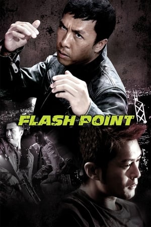 Flash Point (2007) Hindi Dual Audio [1GB] HD Poster Download - filmyfly