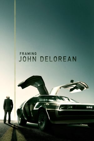 Framing John DeLorean (2019) Hindi Dual Audio 350MB HD Poster Download - filmyfly