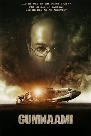 Gumnaami (2019) Hindi Movie [1GB] HD Poster Download - filmyfly