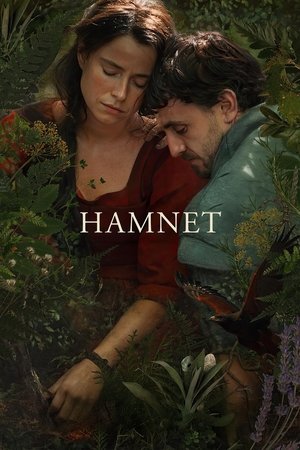 Hamnet (2025) Hindi (MULTI AUDIO) – – HD Poster Download - filmyfly
