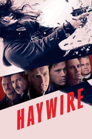 Haywire (2011) Hindi Dual Audio [700MB]