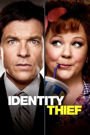 Identity Thief (2013) Hindi Dual Audio [1GB] HD Poster Download - filmyfly