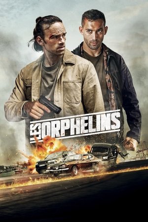 Les Orphelins (2025) Hindi (MULTI AUDIO) – – HD Poster Download - filmyfly