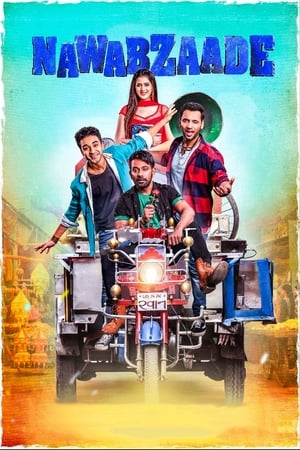 Nawabzaade (2018) Movie - [300MB]