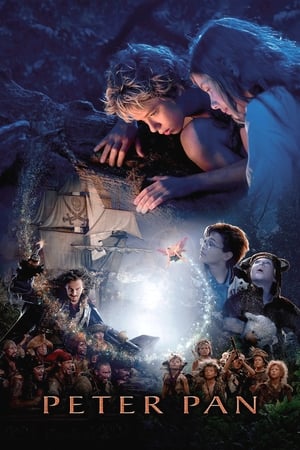 Peter Pan (2003) Hindi Dual Audio [1GB] HD Poster Download - filmyfly