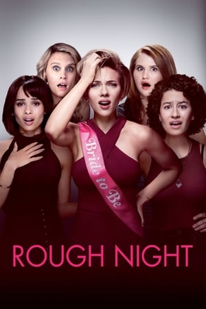 Rough Night (2017) Hindi Dual Audio [800MB] HD Poster Download - filmyfly