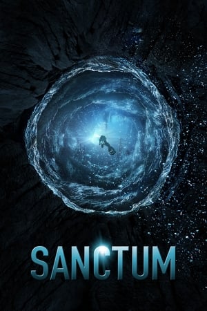 Sanctum (2011) Hindi Dual Audio 400MB HD Poster Download - filmyfly
