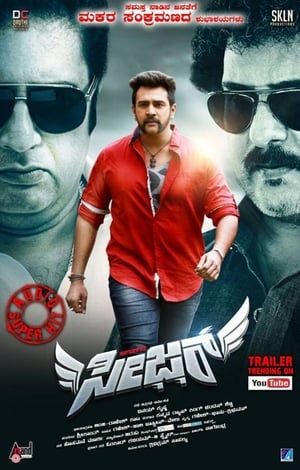 Seizer 2018 Movie Hindi Dubbed [1.4GB] HD Poster Download - filmyfly