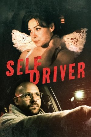 Self Driver (2024) Hindi (MULTI AUDIO) – – HD Poster Download - filmyfly