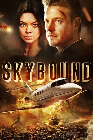 Skybound (2017) Hindi Dual Audio [1.2GB] HD Poster Download - filmyfly