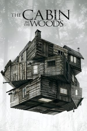 The Cabin in the Woods (2011) Hindi Dual Audio [990MB] HD Poster Download - filmyfly