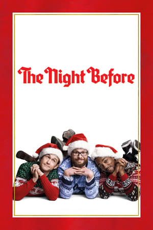 The Night Before (2015) Hindi Dual Audio – 720p – 480p