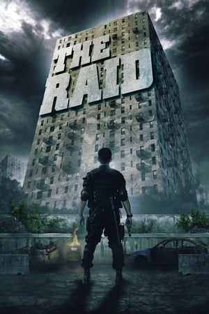 The Raid: Redemption (2011) Hindi Dual Audio [900MB] ESubs HD Poster Download - filmyfly