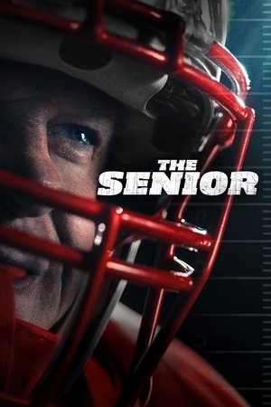 The Senior (2025) Hindi (MULTI AUDIO) – – HD Poster Download - filmyfly
