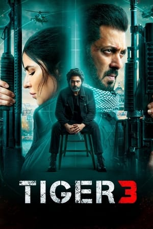 Tiger 3 2023 Hindi (ORG) – HD Poster Download - filmyfly