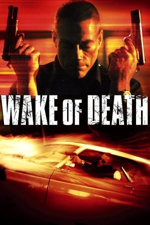 Wake of Death 2004 Hindi Dual Audio [1GB] HD Poster Download - filmyfly